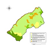 Mapa vegetación